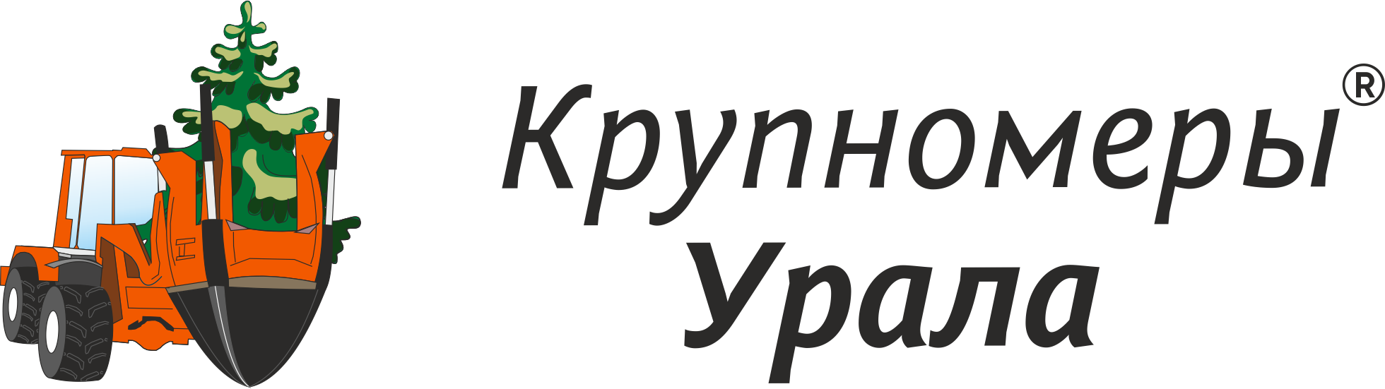 Купить саженцы голубой Ели колючей✔️ цена в Челябинске - питомник  «Крупномеры Урала»